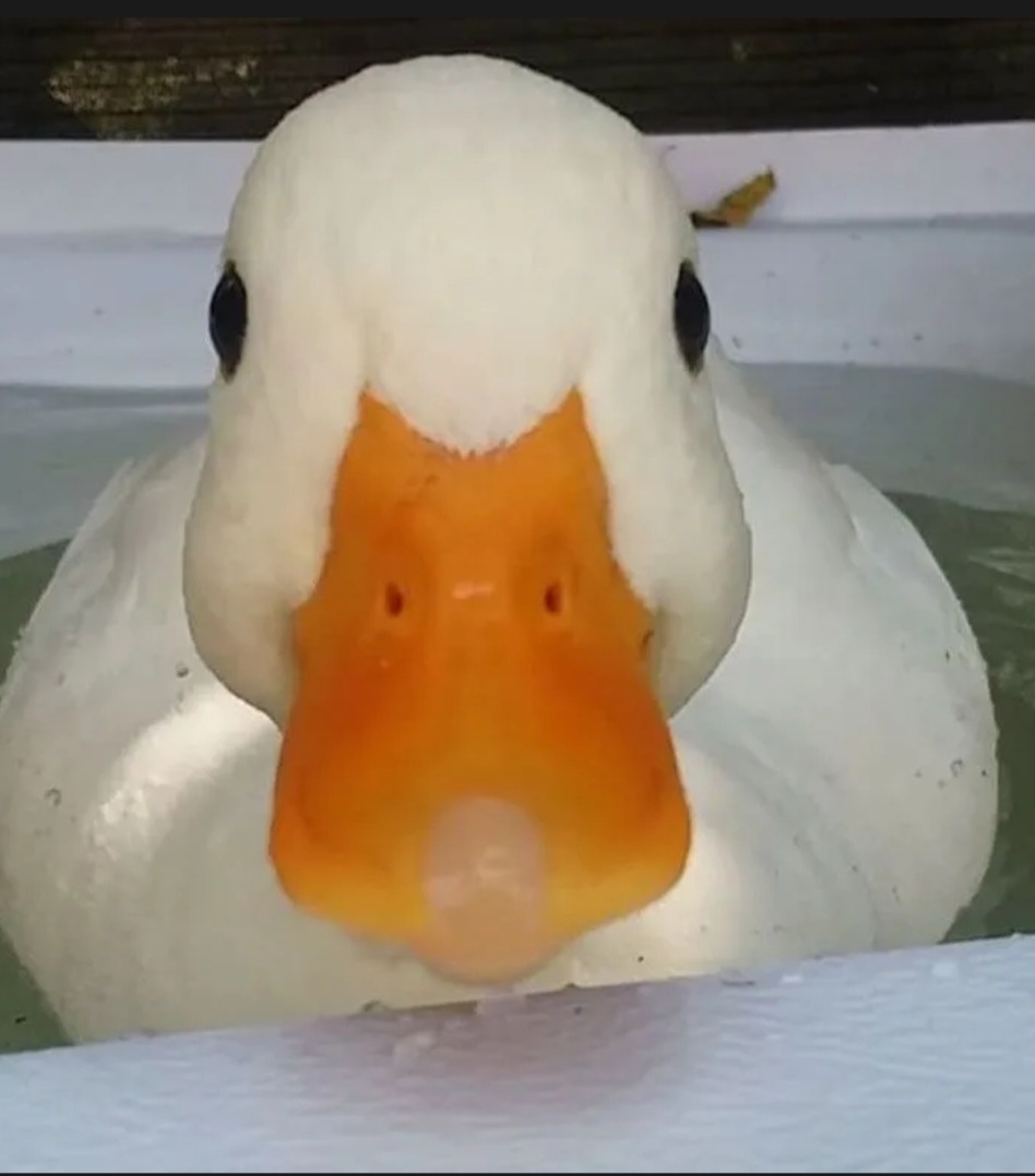 Profil de Aguibou, 21 ans, Rencontre à Heispelt