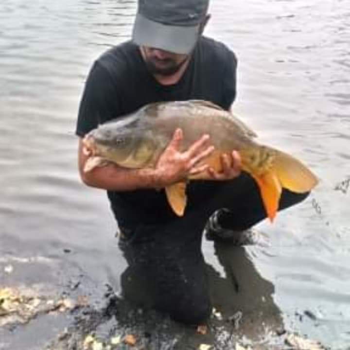 Profil de Warenn, 38 ans, Rencontre à Hinkel