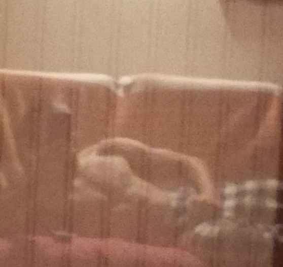 Profil de Flavius, 23 ans, Rencontre à Holler